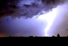 Forte temporale sulla Romagna, allagamenti e alberi caduti