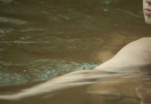 ‘Laterale Film Festival’, la IX edizione a Cosenza dal 28 al 30 agosto