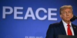 Ucraina, Trump: “Zelensky può porre subito fine a guerra, rinunci a Crimea e Nato”