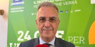 Alimenti, Minelli: “La dieta mediterranea è uno strumento universale di prevenzione”