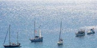 Delia (Flotilla): “Missione continua, proposta di Trump per me non è una pace”