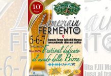 “Lamezia In Fermento”, torna il tradizionale festival dedicato alla birra artigianale