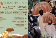 Autunno in Sila 2025, la 56ª Sagra del Fungo dall’11 ottobre a Camigliatello Silano (CS)