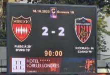 Cosenza, che spreco! Col Sorrento una vittoria gettata all’aria. Finisce 2-2 sul neutro di Potenza Cosenza, che spreco! Col Sorrento una vittoria gettata all’aria. Finisce 2-2 sul neutro di Potenza