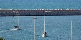 Flotilla, 46 italiani fermati da Israele. Dal carcere all’espulsione, cosa succede