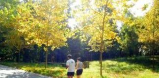 Ottobrata alla massima potenza, nel weekend fino a 27°C da Nord a Sud