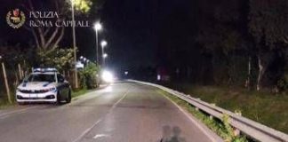 Roma, finisce con lo scooter contro guardrail: morto 56enne