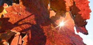 Sole e caldo ma solo per 48 ore, poi arriva il ciclone di Halloween: ecco il meteo che ci aspetta