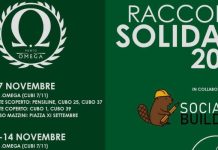 6 e 7 novembre: Raccolta alimentare solidale all’Università della Calabria e in Piazza XI Settembre