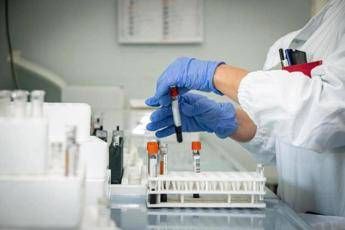 Epatite A, crescono i casi: sesso e alimenti, come si prende e sintomi