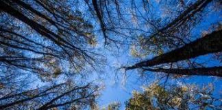 L’estate di San Martino non delude, stop alla pioggia arrivano beltempo e temperature miti