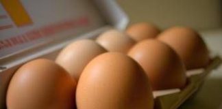 Uova biologiche o allevate a terra: ecco i consigli per orientarsi tra etichette
