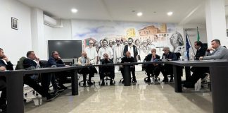 Costa Tirrenica Cosentina, vertice tra Sindaci a Diamante