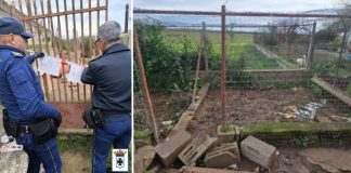 La Polizia Provinciale sequestra 7 cani e 60 gatti a Corigliano Rossano