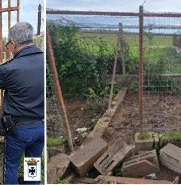 La Polizia Provinciale sequestra 7 cani e 60 gatti a Corigliano Rossano