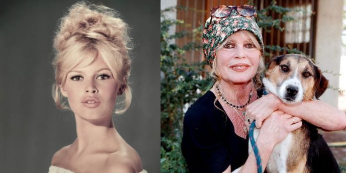 Addio a Brigitte Bardot. L'icona del cinema si è spenta a 91 anni