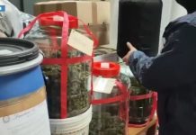 Vasta operazione di polizia contro la criminalità diffusa, coinvolta anche Cosenza