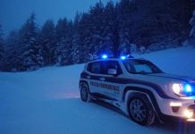 Polizia Provinciale contro il bracconaggio in Sila: sequestrato un capriolo abbattuto e armi