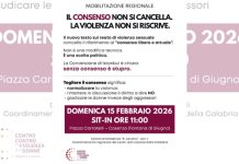 Modifica DDL “Stupri”: mobilitazione regionale indetta il 15 a Cosenza dal CAV “Lanzino” Mobilitazione regionale Lanzino