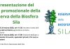 A Lorica due webinar per promuovere il logo della Riserva della Biosfera UNESCO A Lorica due webinar per promuovere il logo della Riserva della Biosfera UNESCO