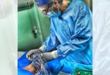 Aloia (Ivas Calabria) chiede Istituzione di un Team Accessi Vascolari in ogni Azienda Ospedaliera