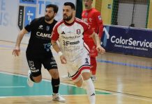 Futsal, la Pirossigeno Cosenza si fa male a Treviso: persa 4-2 la sfida salvezza con la Came Futsal, la Pirossigeno Cosenza si fa male a Treviso persa 4-2 la sfida salvezza con la Came