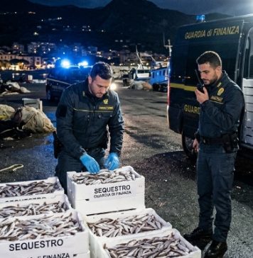 Calabria: la Guardia di Finanza sequestra 250 chili di novellame