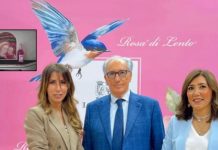 Vini Cantine Lento sul volo di Papa Leone XIV in Africa Vini Cantine Lento sul volo di Papa Leone XIV in Africa