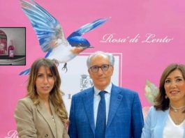 Vini Cantine Lento sul volo di Papa Leone XIV in Africa Vini Cantine Lento sul volo di Papa Leone XIV in Africa