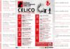 Presentato il “Festival Internazionale delle arti” di Celico Festival Internazionale delle Arti Celico - Programma