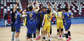 Pallavolo Milani in Serie B