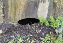 Acqua nelle contrade: i cittadini del sud di Cosenza chiedono verifiche complete e rispetto