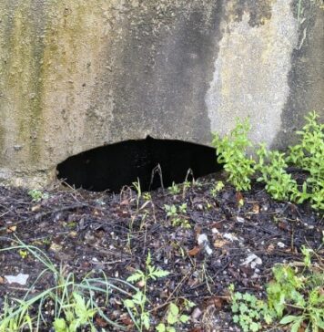Acqua nelle contrade: i cittadini del sud di Cosenza chiedono verifiche complete e rispetto