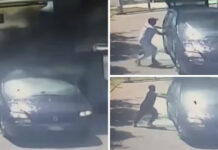 Amendolara, quattro migranti pakistani bruciati vivi in auto: video shock e due fermati Amendolara, quattro migranti pakistani bruciati vivi in auto video shock e due fermati