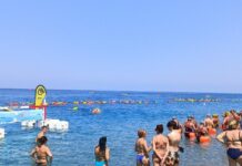 Assalto all’Isola 2026: Cirella si conferma capitale del nuoto master in acque libere