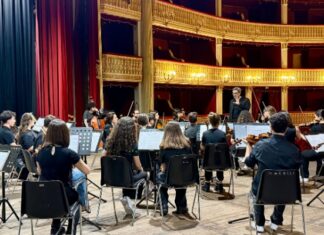 Orchestra Brutia Young