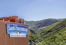 Cessione Cosenza: i soci di maggioranza del salumificio San Vincenzo prendono le distanze dalla trattativa Salumificio San Vincenzo