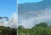 Paura all’Unical, vasto incendio nei pressi del Campus Paura all’Unical, vasto incendio nei pressi del Campus