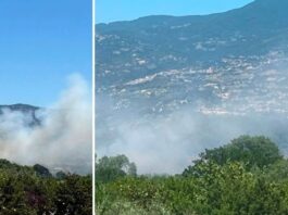 Paura all’Unical, vasto incendio nei pressi del Campus Paura all’Unical, vasto incendio nei pressi del Campus