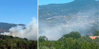 Paura all’Unical, vasto incendio nei pressi del Campus Paura all’Unical, vasto incendio nei pressi del Campus