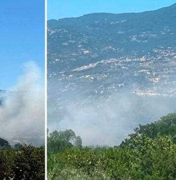 Paura all’Unical, vasto incendio nei pressi del Campus Paura all’Unical, vasto incendio nei pressi del Campus