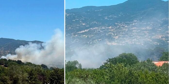 Paura all’Unical, vasto incendio nei pressi del Campus