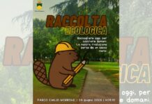 Cosenza, il 26 giugno nuova “Raccolta Ecologica” dei Social Builders Social Builders Parco Morrone Cosenza