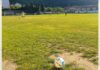 San Fili, tempo di Open Day: tanti giovani in campo. Mercato pronto a entrare nel vivo San Fili, tempo di Open Day tanti giovani in campo. Mercato pronto a entrare nel vivo