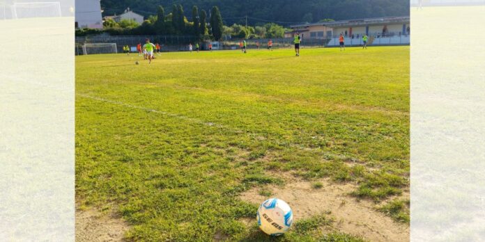 San Fili, tempo di Open Day tanti giovani in campo. Mercato pronto a entrare nel vivo San Fili, tempo di Open Day tanti giovani in campo. Mercato pronto a entrare nel vivo